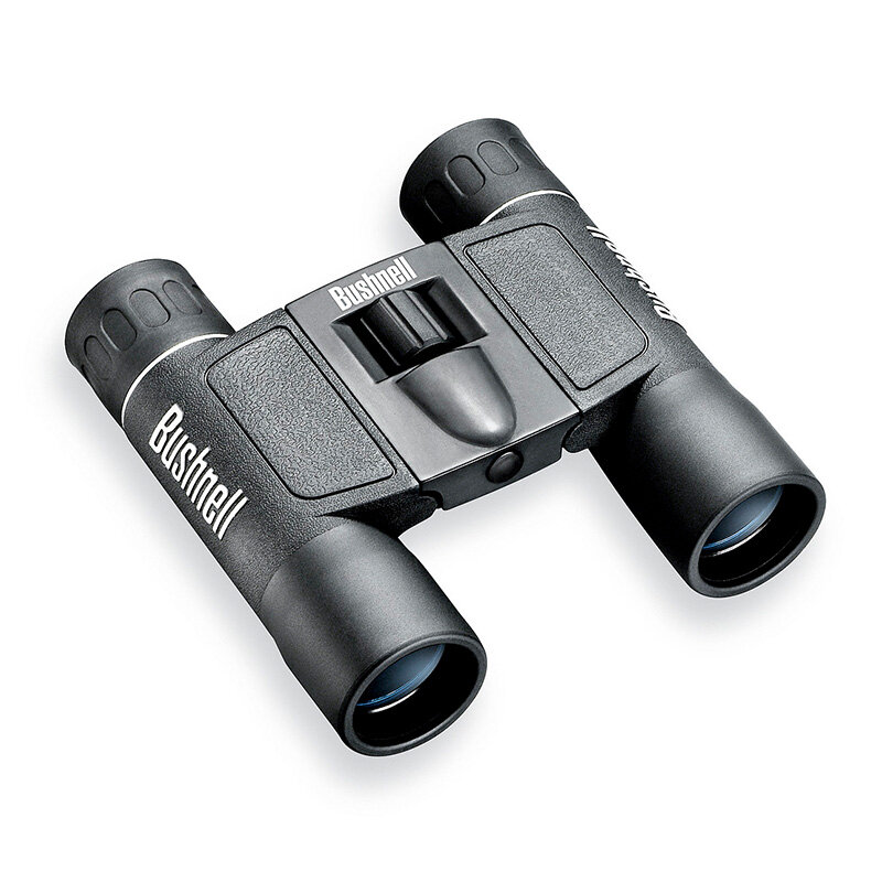 0168008349-bushnell-10x25-powerview