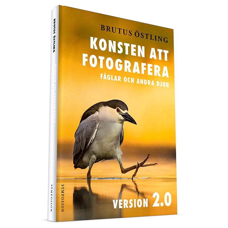 Konsten att fotografera fåglar / Brutus Östling