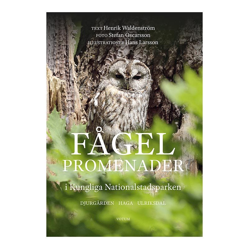 Fågelpromenader i Kungliga Nationalstadsparken