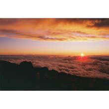 0168012505-candido-400-colour-135-36-3-pack-i