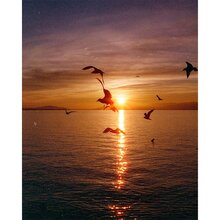 0168012506-candido-800-colour-135-36-3-pack-g