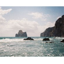 Lomography Color Tiger 200 110-Film 3-pack